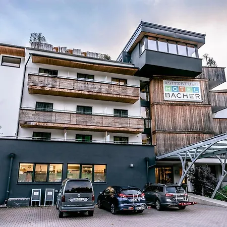 酒店 巴切尔阿西斯塔本酒店 莱奥冈