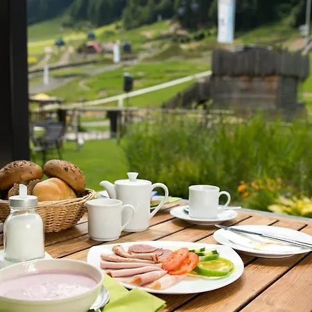Hotel Bacher Asitzstubn Leogang