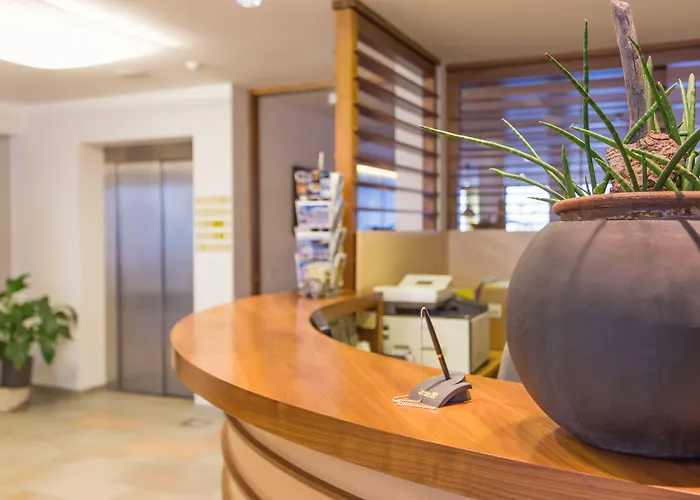 巴切尔阿西斯塔本酒店 酒店 莱奥冈