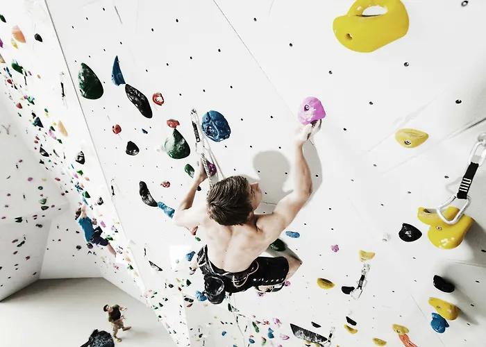 酒店 巴切尔阿西斯塔本酒店 3*