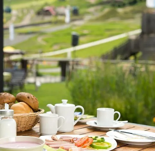 酒店 巴切尔阿西斯塔本酒店 莱奥冈