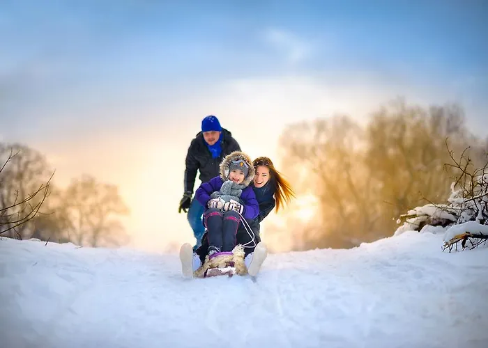 巴切尔阿西斯塔本酒店