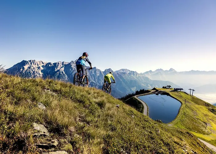 酒店 巴切尔阿西斯塔本酒店 莱奥冈